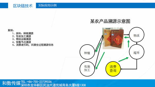 傳統產業融入區塊鏈 和數軟件如何以技術賦能，穩健前行